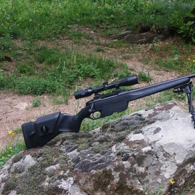 Снайперская винтовка M21 (США)